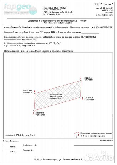 Геодезист, Вынос границ участка, Топосъемка