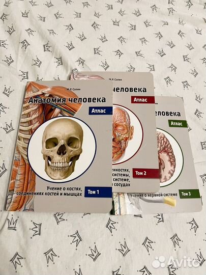 Анатомия сапин3 тома