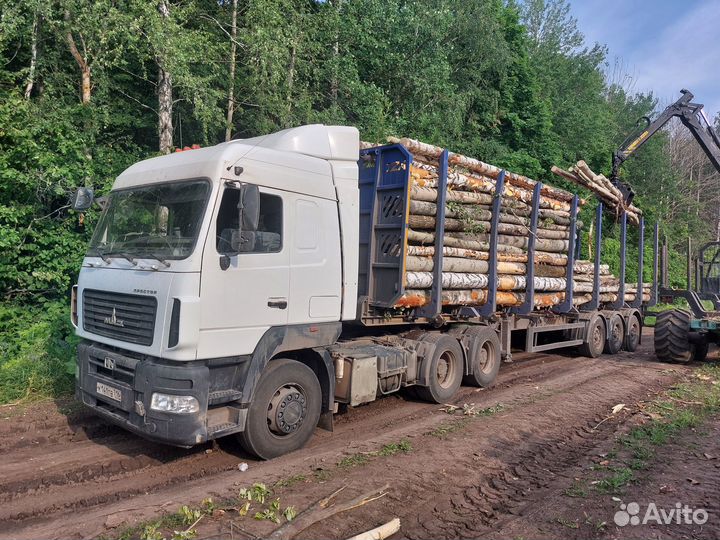 Лесовоз маз В аренду