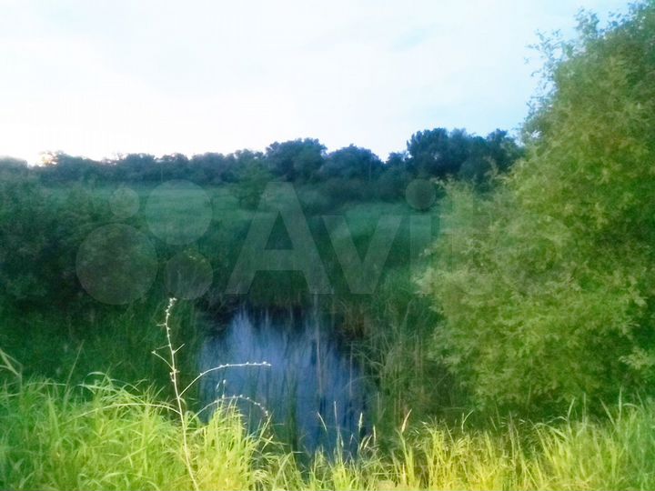 Участок 2,98 га (СНТ, ДНП)