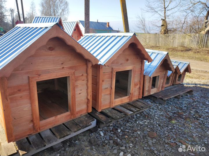 Собачья будка