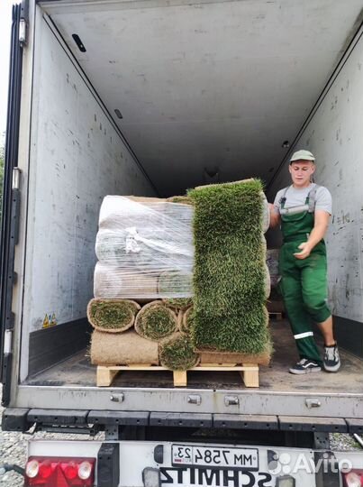 Укладка рулонного газона