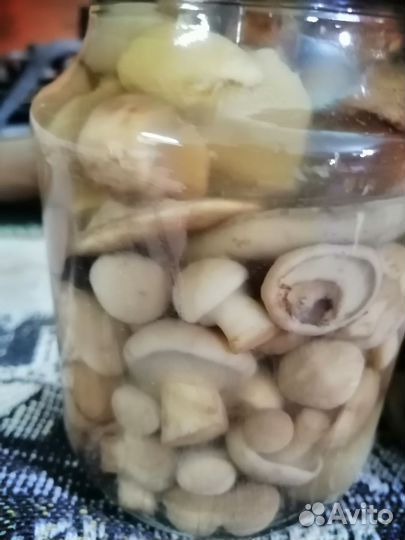 Грибы маринованные