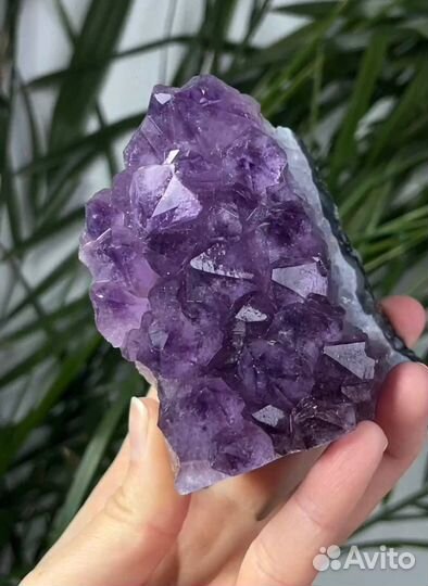 Аметист (крупная друза)