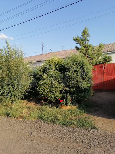 Дом 59 м² на участке 10 сот.