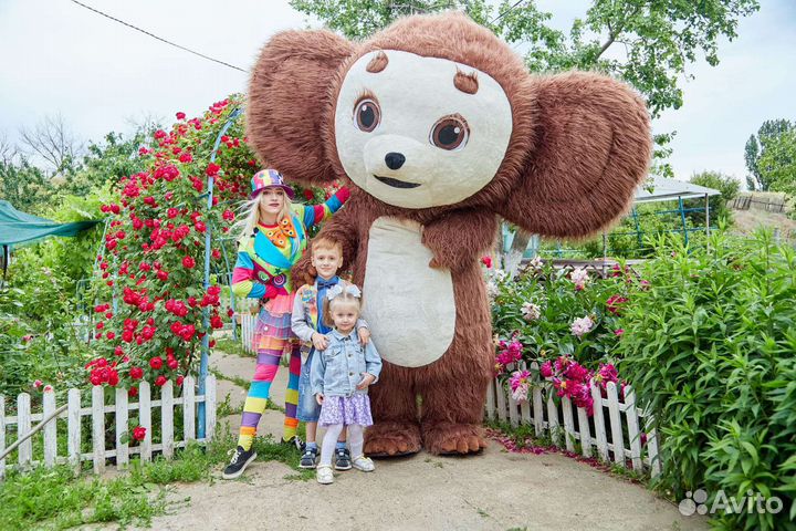 Проведение праздников