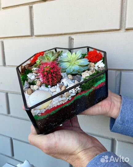 Подарок. Цветы. Флорариум. Сердце. Живые растения