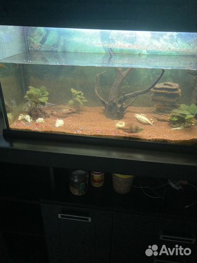 Аквариум с тумбой