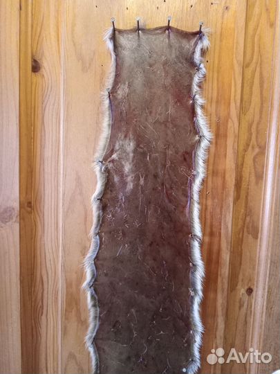 Камус лосиный