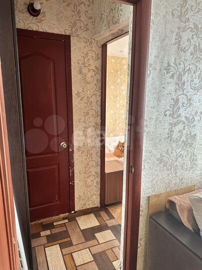 2-к. квартира, 47,9 м², 5/5 эт.