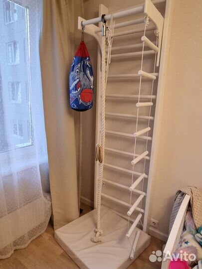 Кольца и спортивная лестница