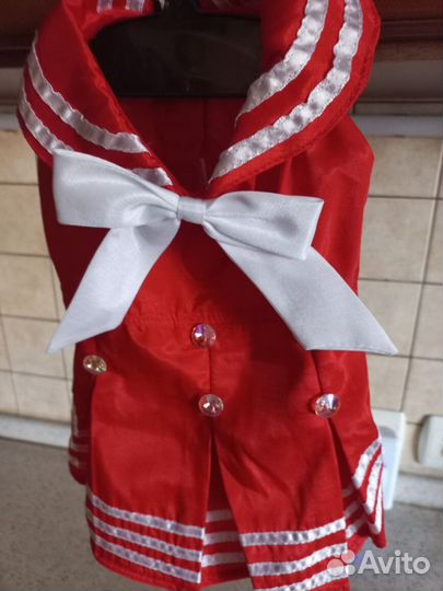 Одежда для собак мелких пород