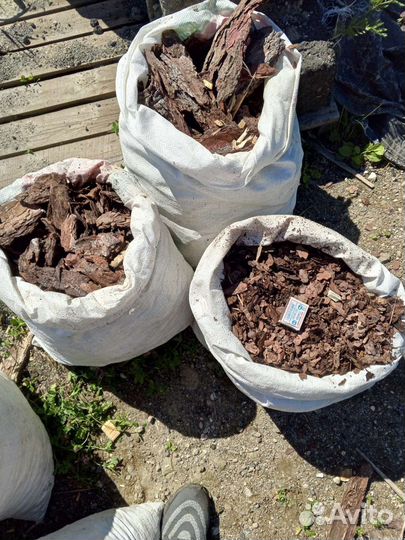 Кора сосны мульча