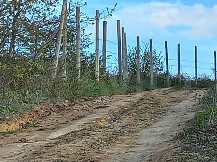 Участок 4 сот. (СНТ, ДНП)
