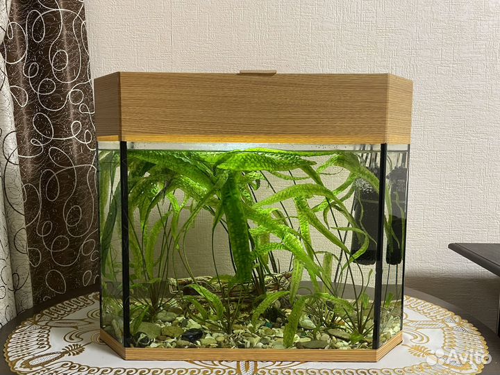 Аквариум с рыбками