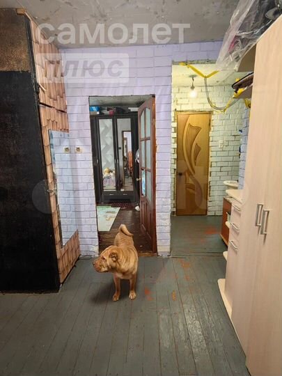 3-к. квартира, 68,6 м², 1/5 эт.