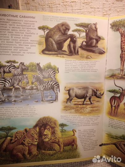 Книга Атлас животных