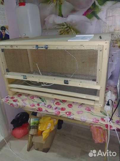 Брудеры,совсем удобствами