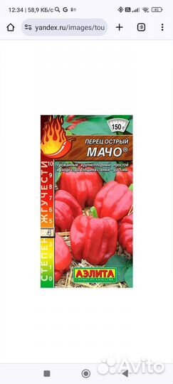 Рассада острого перца