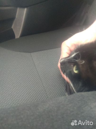 Полностью здоров ждёт Вас