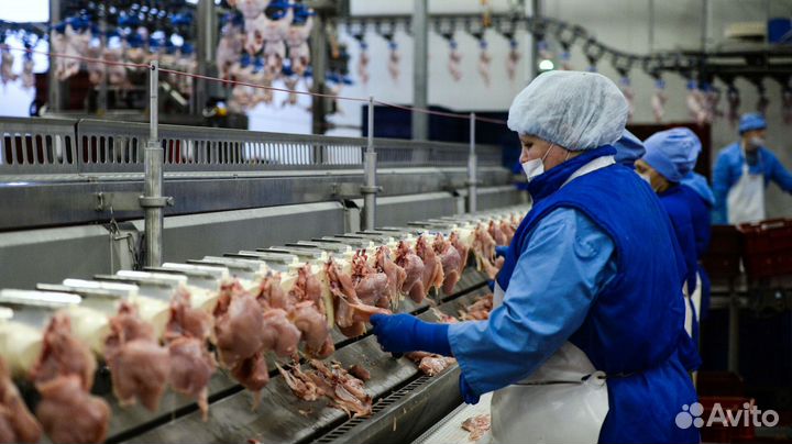 Самарская область производство нарезчик