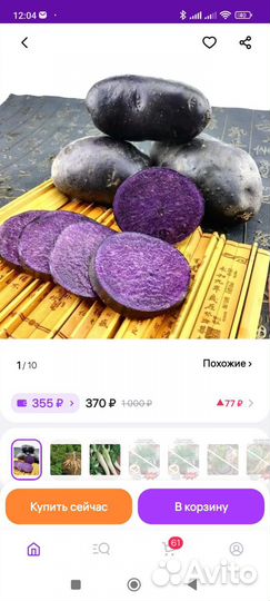 Семенной картофель