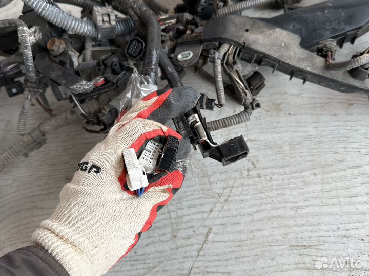 Lexus RX 4 Проводка двигателя
