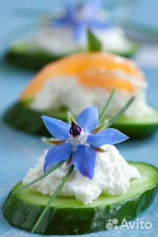 Бораго (огуречник), семена 50 шт