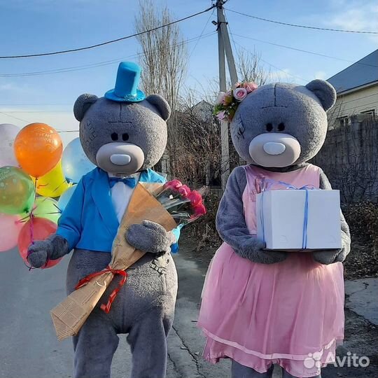 Поздравления Мишки Тедди, Сердце-курьера, Музыкант