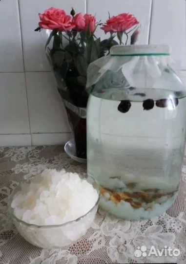 Индийский морской рис