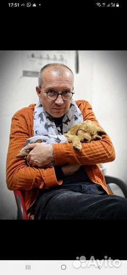 Руководитель Представительства