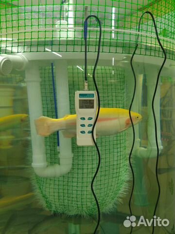 Оксиметр AZ8403 измеритель кислорода в воде объявление продам