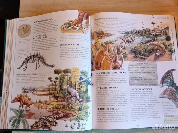 Энциклопедия школьника