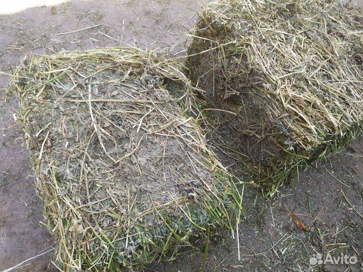 Сено в тюках