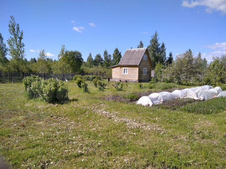 Дача 31 м² на участке 15 сот.