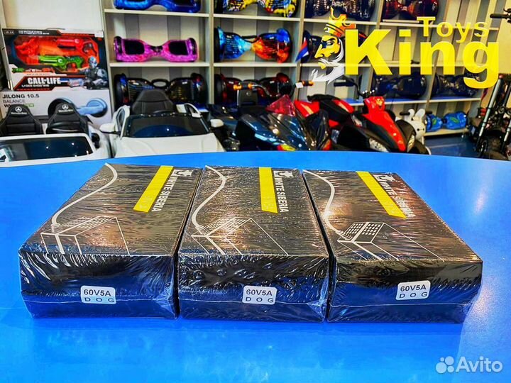 Зарядное устройство WS 60V/5A