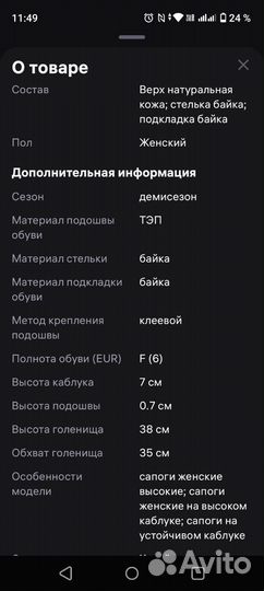 Сапоги демисезонные