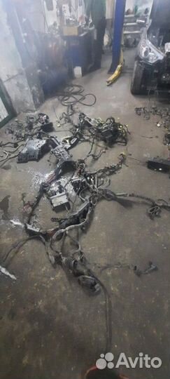 Жгут проводов двигателя Volkswagen Phaeton 3D8 BGH