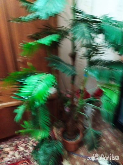 Искусственная пальма