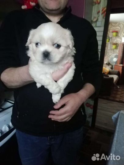 Красатулечки