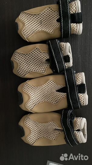 Отдам даром бесплатно в дар