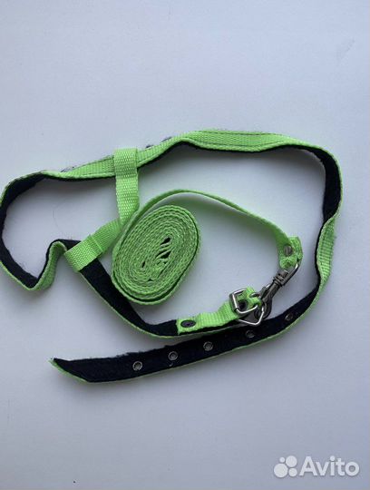 Шлейка для кошки