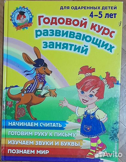 Годовой курс развивающих занятий