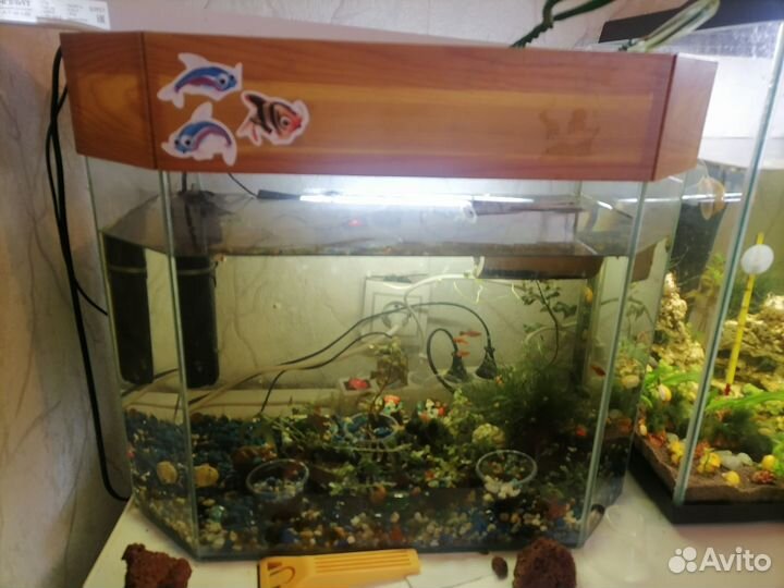 Аквариум