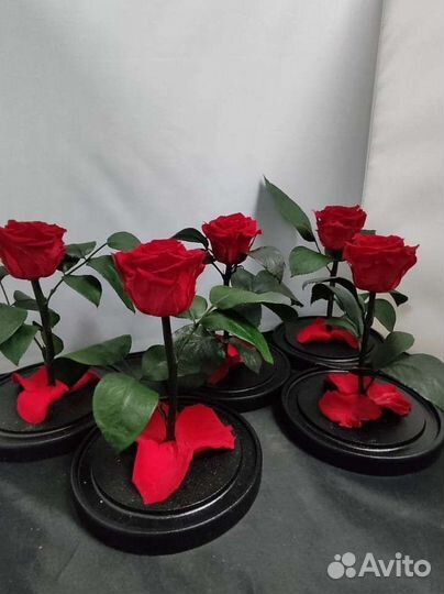 Роза в колбе оптом