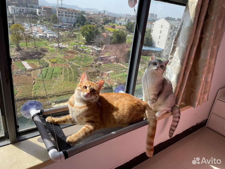 Лежанка для кошек, гамак на окно для животных