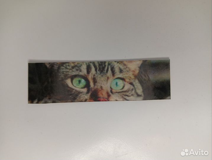 Переливной стикер Кот и тигр