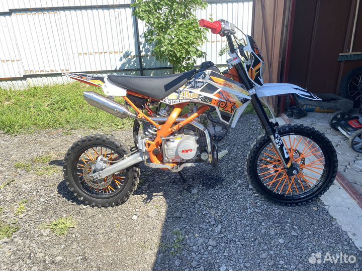 Питбайк кайо 125 с электро стартером