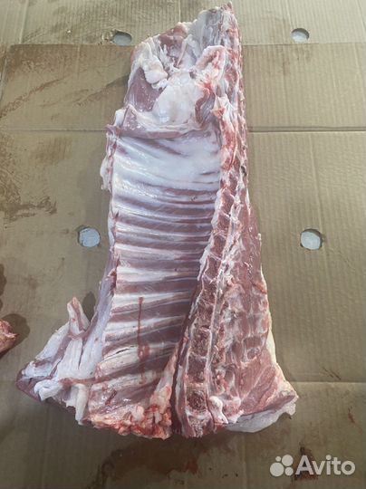 Куры мяса Домашные