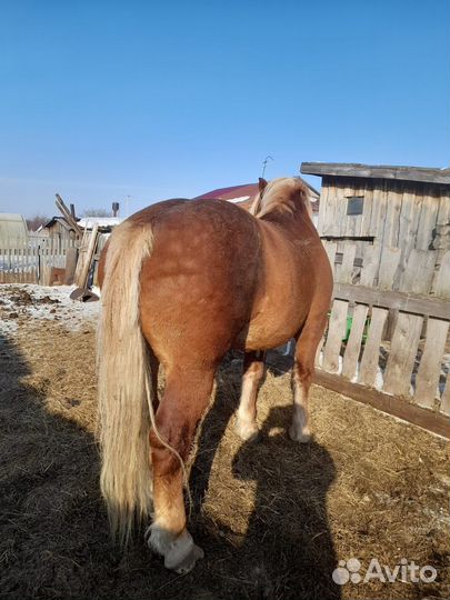 Советский тяжеловоз